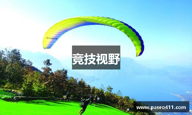 竞技视野